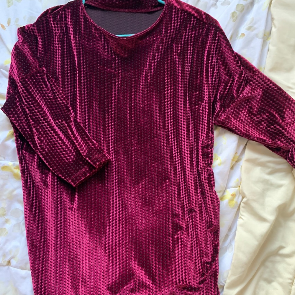 Zara Red Velvet Dress